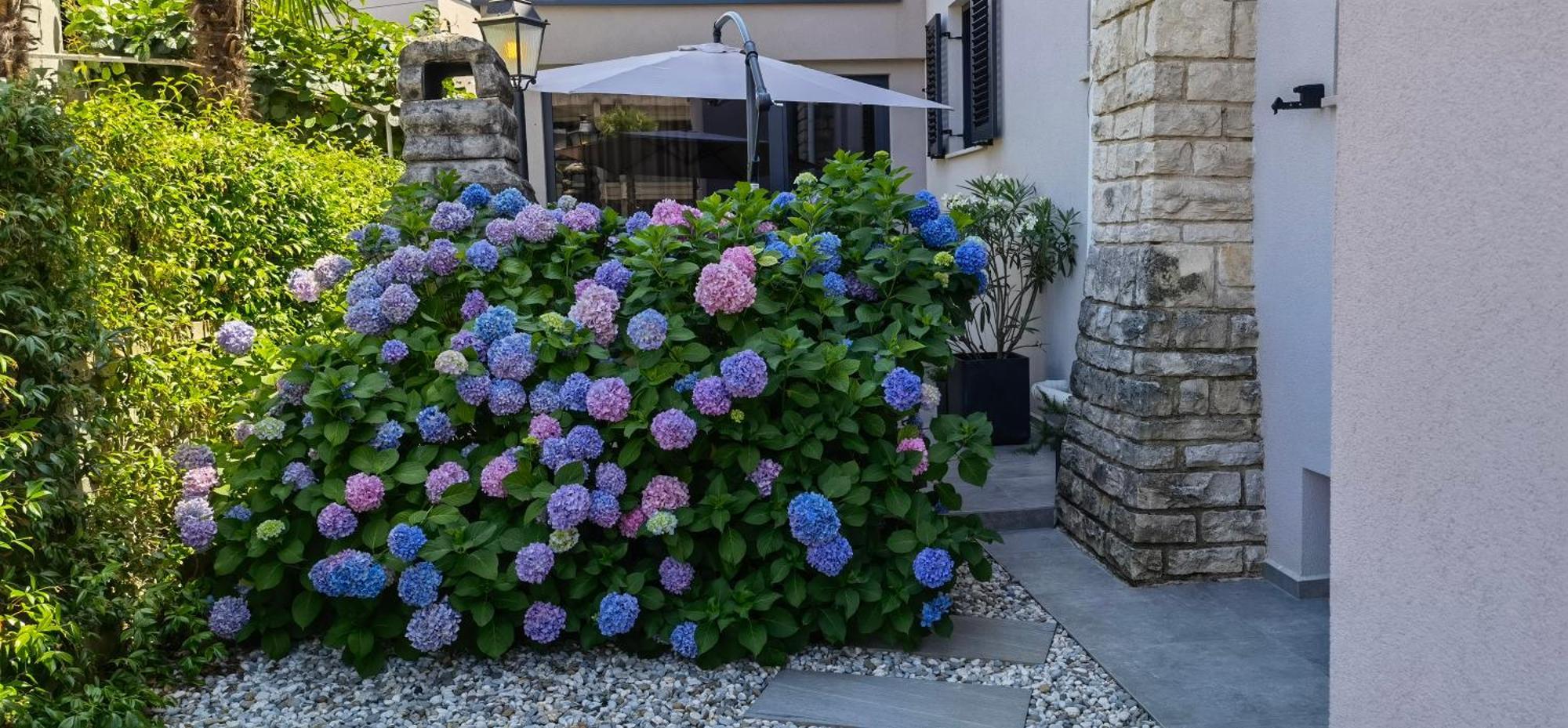 Stay In The Very Heart Of Porec - 50M To The Beach Eksteriør billede
